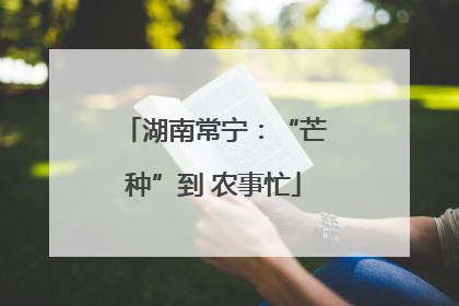 湖南常宁：“芒种”到 农事忙