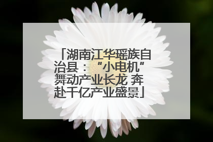湖南江华瑶族自治县：“小电机”舞动产业长龙 奔赴千亿产业盛景