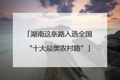 湖南这条路入选全国“十大最美农村路”