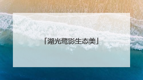 湖光鹭影生态美