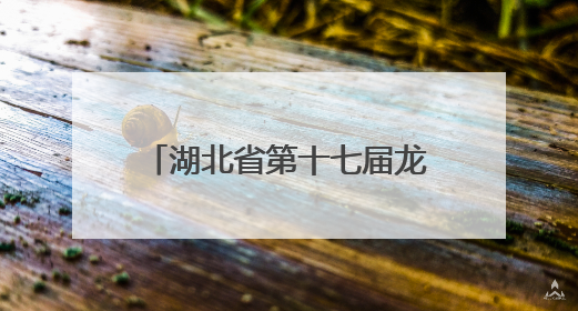 湖北省第十七届龙舟大赛圆满收官