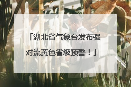 湖北省气象台发布强对流黄色省级预警！