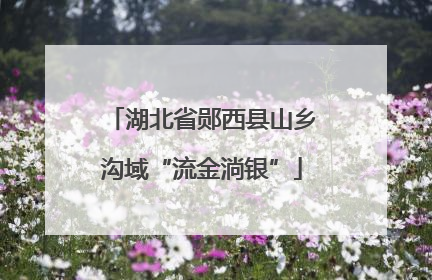 湖北省郧西县山乡沟域“流金淌银”