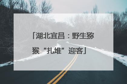 湖北宜昌：野生猕猴“扎堆”迎客