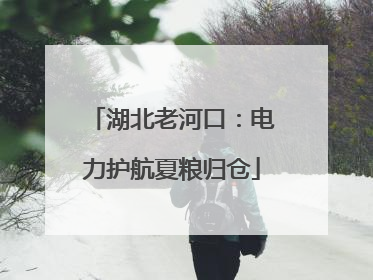 湖北老河口：电力护航夏粮归仓