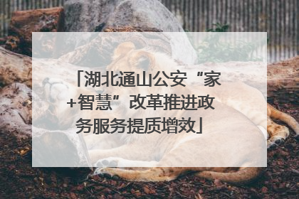 湖北通山公安“家+智慧”改革推进政务服务提质增效