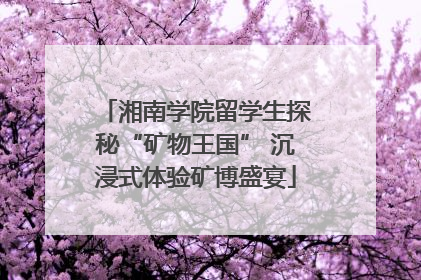 湘南学院留学生探秘“矿物王国” 沉浸式体验矿博盛宴