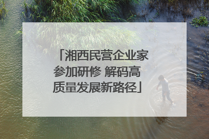 湘西民营企业家参加研修 解码高质量发展新路径