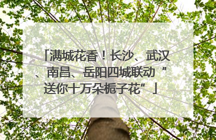 满城花香！长沙、武汉、南昌、岳阳四城联动“送你十万朵栀子花”