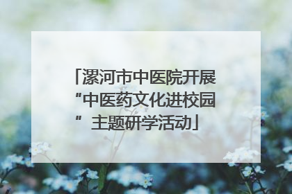 漯河市中医院开展“中医药文化进校园”主题研学活动