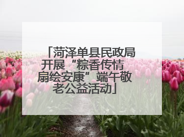 菏泽单县民政局开展“粽香传情 扇绘安康”端午敬老公益活动