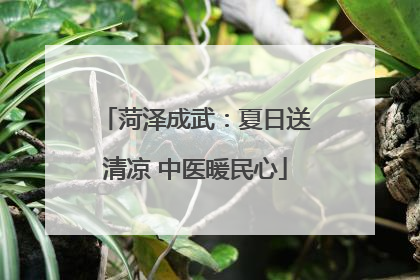 菏泽成武：夏日送清凉 中医暖民心