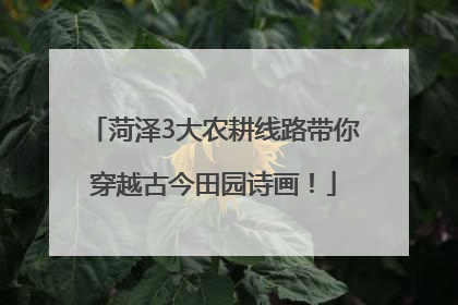 菏泽3大农耕线路带你穿越古今田园诗画！