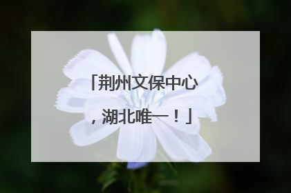 荆州文保中心，湖北唯一！