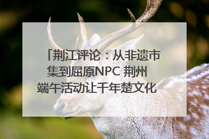 荆江评论：从非遗市集到屈原NPC 荆州端午活动让千年楚文化“破圈”生长