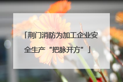 荆门消防为加工企业安全生产“把脉开方”