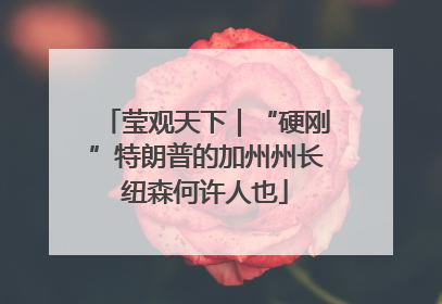 莹观天下｜“硬刚”特朗普的加州州长纽森何许人也