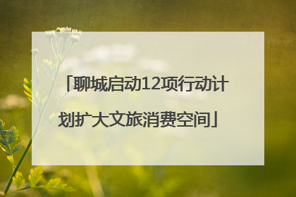 聊城启动12项行动计划扩大文旅消费空间