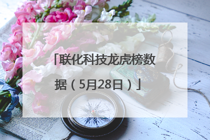 联化科技龙虎榜数据（5月28日）