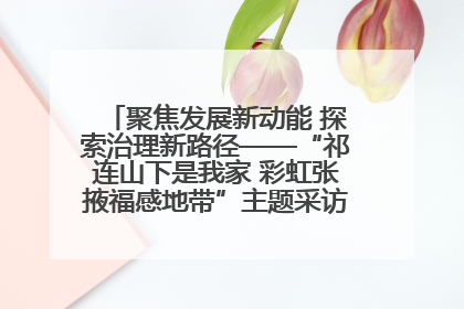 聚焦发展新动能 探索治理新路径——“祁连山下是我家 彩虹张掖福感地带”主题采访活动走进山丹