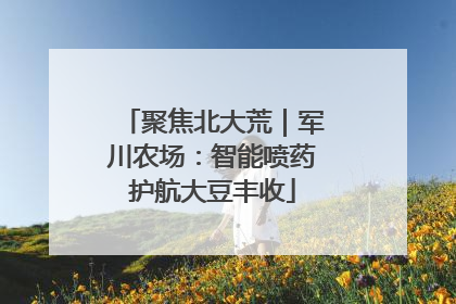 聚焦北大荒｜军川农场：智能喷药护航大豆丰收