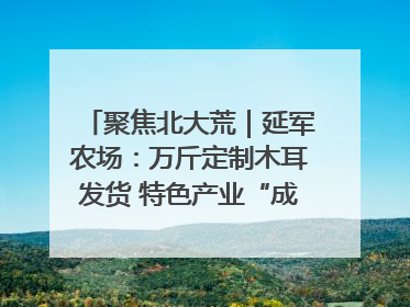 聚焦北大荒｜延军农场：万斤定制木耳发货 特色产业“成绩单”亮眼