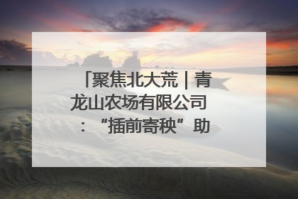 聚焦北大荒｜青龙山农场有限公司：“插前寄秧”助力农业节本增效
