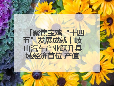 聚焦宝鸡“十四五”发展成就丨岐山汽车产业跃升县域经济首位 产值突破205亿 占规上工业75%