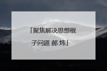 聚焦解决思想根子问题 郝 炜