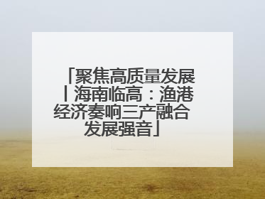 聚焦高质量发展丨海南临高：渔港经济奏响三产融合发展强音
