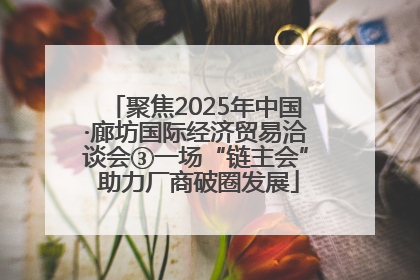 聚焦2025年中国·廊坊国际经济贸易洽谈会③一场“链主会” 助力厂商破圈发展