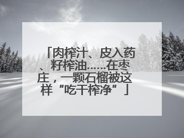 肉榨汁、皮入药、籽榨油……在枣庄，一颗石榴被这样“吃干榨净”