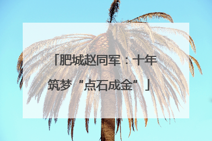 肥城赵同军：十年筑梦“点石成金”
