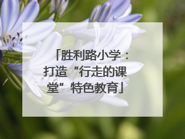 胜利路小学：打造“行走的课堂”特色教育
