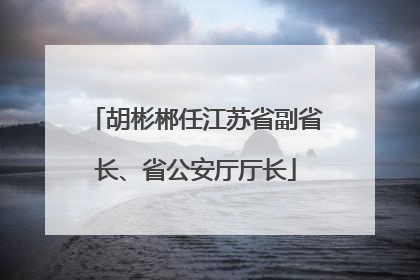 胡彬郴任江苏省副省长、省公安厅厅长