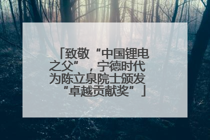 致敬“中国锂电之父”，宁德时代为陈立泉院士颁发“卓越贡献奖”
