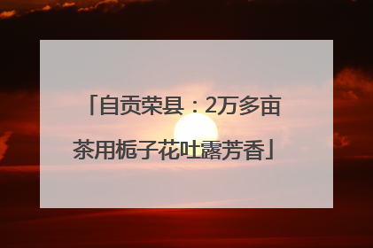 自贡荣县：2万多亩茶用栀子花吐露芳香