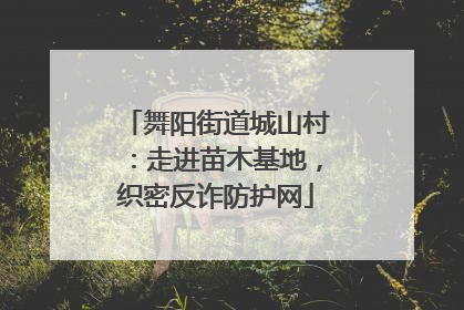 舞阳街道城山村：走进苗木基地，织密反诈防护网