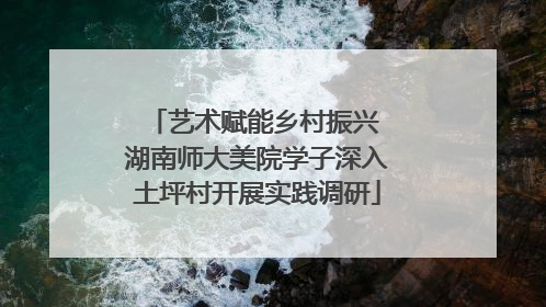 艺术赋能乡村振兴 湖南师大美院学子深入土坪村开展实践调研