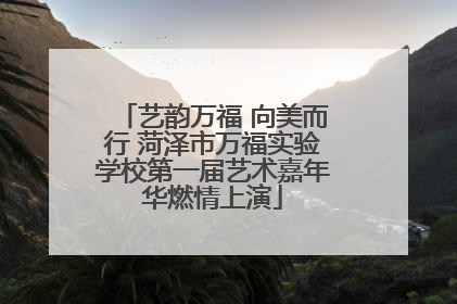 艺韵万福 向美而行 菏泽市万福实验学校第一届艺术嘉年华燃情上演