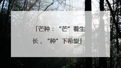 芒种：“芒”着生长，“种”下希望