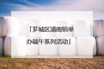芗城区浦南镇举办端午系列活动