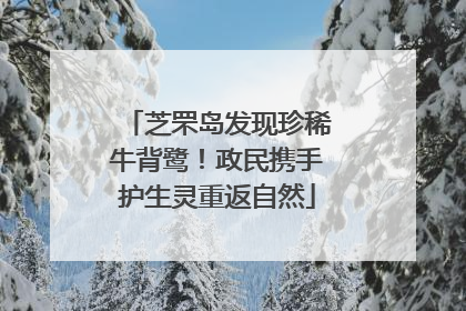 芝罘岛发现珍稀牛背鹭！政民携手护生灵重返自然