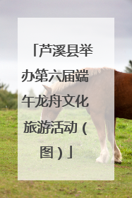 芦溪县举办第六届端午龙舟文化旅游活动（图）