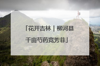 花开吉林｜柳河县千亩芍药竞芳菲