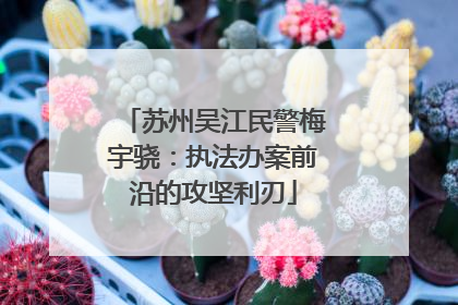 苏州吴江民警梅宇骁：执法办案前沿的攻坚利刃