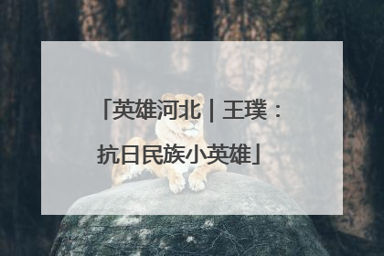 英雄河北｜王璞：抗日民族小英雄
