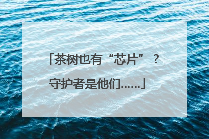 茶树也有“芯片”？守护者是他们……