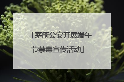 茅箭公安开展端午节禁毒宣传活动