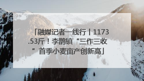 融媒记者一线行丨1173.53斤！李鹊镇“三作三收”首季小麦亩产创新高